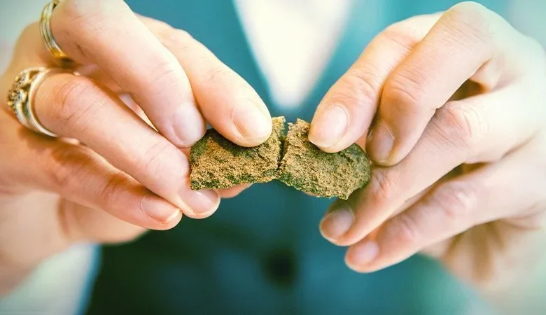 Exploring the Best Hash Online in Canada: A Beginner’s Guide